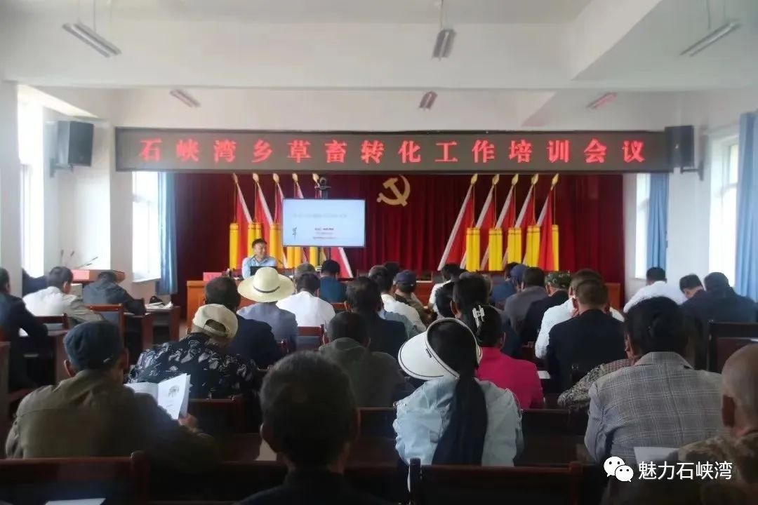 【驻村帮扶】凝聚各方合力 做乡村振兴路上的领航员