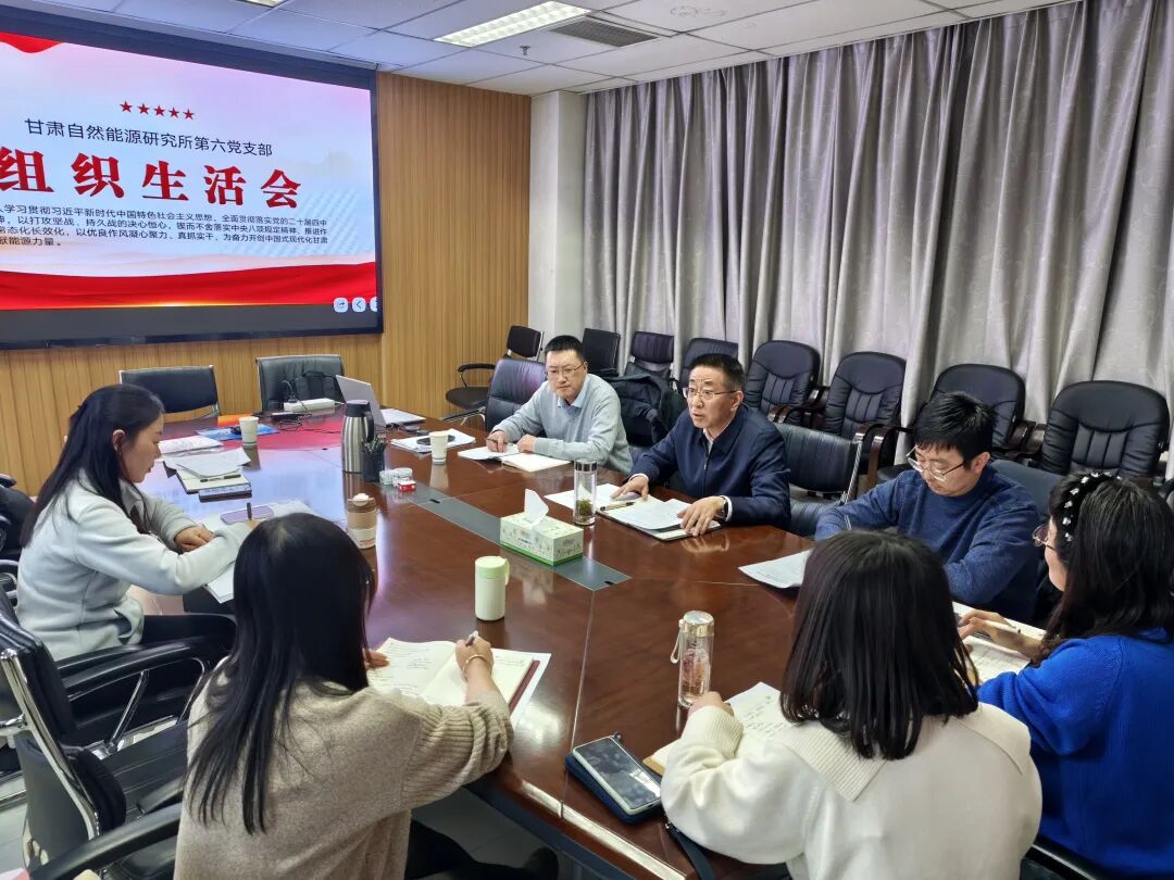 第六党支部顺利召开2025年度组织生活会